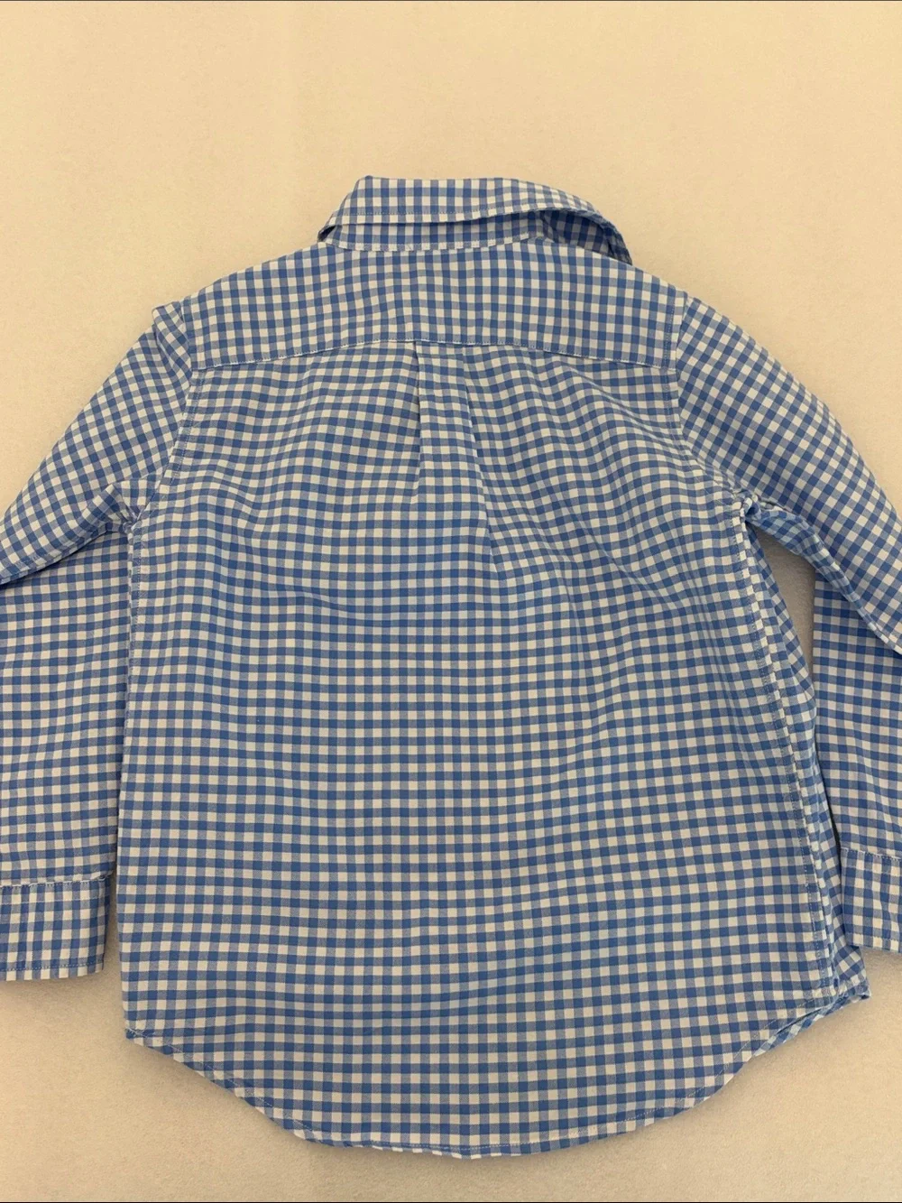 Ralph Lauren Blue & White Gingham Button-Down Shirt